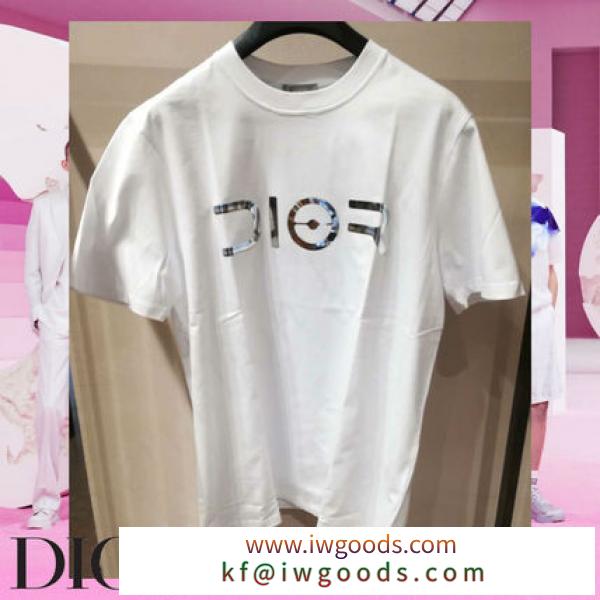 DIOR コピーブランド AND SORAYAMA メタリック ロゴ 半袖 Tシャツ ホワイト iwgoods.com:9pjcae