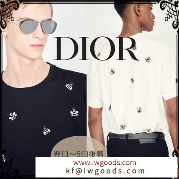 スピード発送【DIOR ブランドコピー商品】コットンジャージTシャツ、 KAWSのBEES iwgoods.com:5otqjx