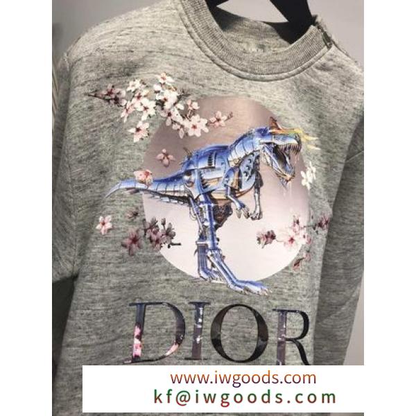 【DIOR ブランド コピー】DIOR ブランド コピー &amp; Sorayama限定コラボ☆ダイナソーロボットSweat iwgoods.com:ug37aw