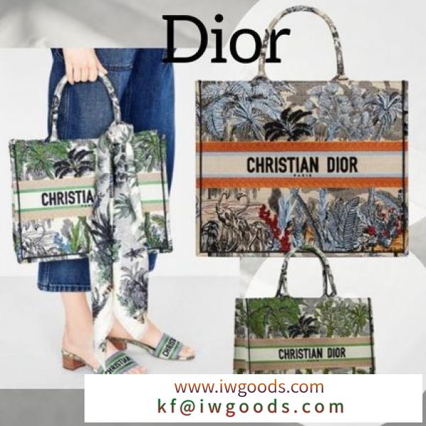 人気 要問合 DIOR ブランドコピー商品 DIOR ブランドコピー商品 BOOK TOTE BAG IN EMBROIDERED CANVAS iwgoods.com:gvjvs3