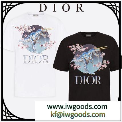 DIOR 激安スーパーコピー コットン Tシャツ DIOR 激安スーパーコピー AND SORAYAMAプリント すぐ届く iwgoods.com:6swokc-3