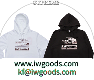 希少おしゃれ SUPREME /The North Face Metallic Logo Hooded Sweatshirtノースフェイスパーカーコピー iwgoods.com DyGjya-3