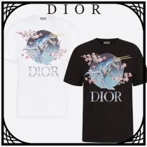 DIOR 激安スーパーコピー コットン Tシャツ DIOR 激安スーパーコピー AND SORAYAMAプリント すぐ届く iwgoods.com:6swokc