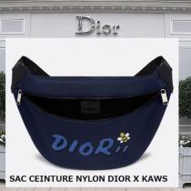 DIOR 激安スーパーコピー ナイロンDIOR 激安スーパーコピー X KAWSウェストポーチ ブルーマリーン色 iwgoods.com:4wiccn