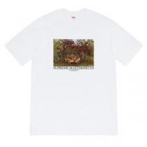 日々のスタイルを軽やかにアップ 半袖Tシャツ 2色可選 春夏大トレンドデザイン シュプリーム SUPREME iwgoods.com 0vKf8n