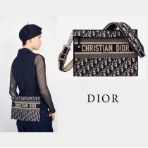 【即対応】DIOR ブランド コピー 刺繍入りキャンバス ショルダーバッグ iwgo...