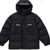 Supreme GORE-TEX 700-Fill Down Parka シュプリー...