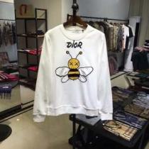 ディオール DIOR 2色可選 プルオーバーパーカー 2020秋冬の新作 簡単におし...